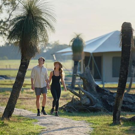 Willow Wood Glamping Retreat Broadwater المظهر الخارجي الصورة